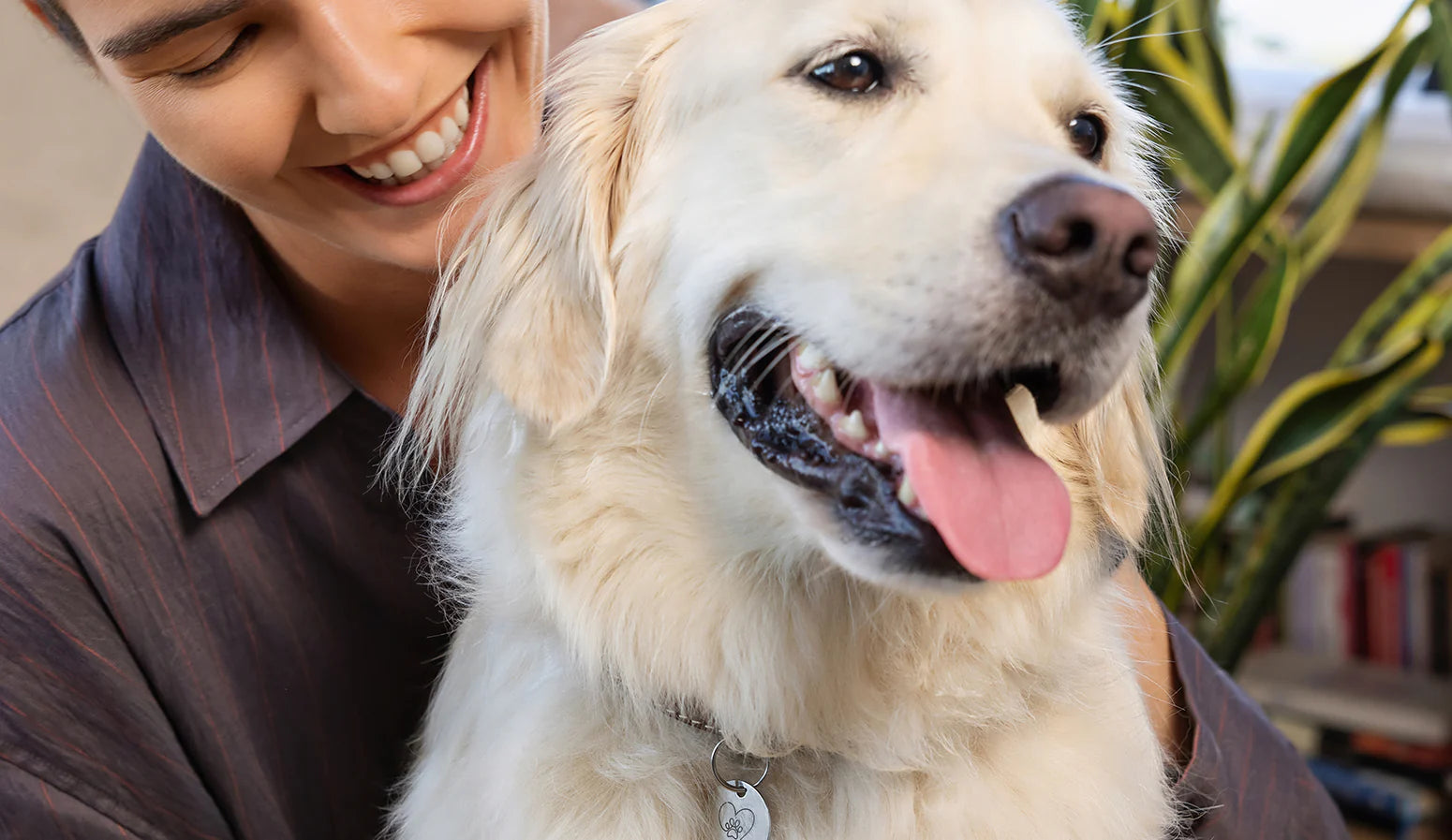 Frau hält einen lächelnden Golden Retriever im Arm. Der Hund wirkt entspannt und glücklich, die helle Wohnumgebung und Pflanzen im Hintergrund vermitteln Nähe, Vertrauen und sanfte Pflege im Alltag mit Haustieren.