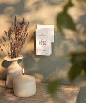 ProEnergetic E-Protect S230 Steckgerät in weißer Wandsteckdose montiert, neben Kerze und Vase mit Trockenblumen in ruhigem Innenraumsetting