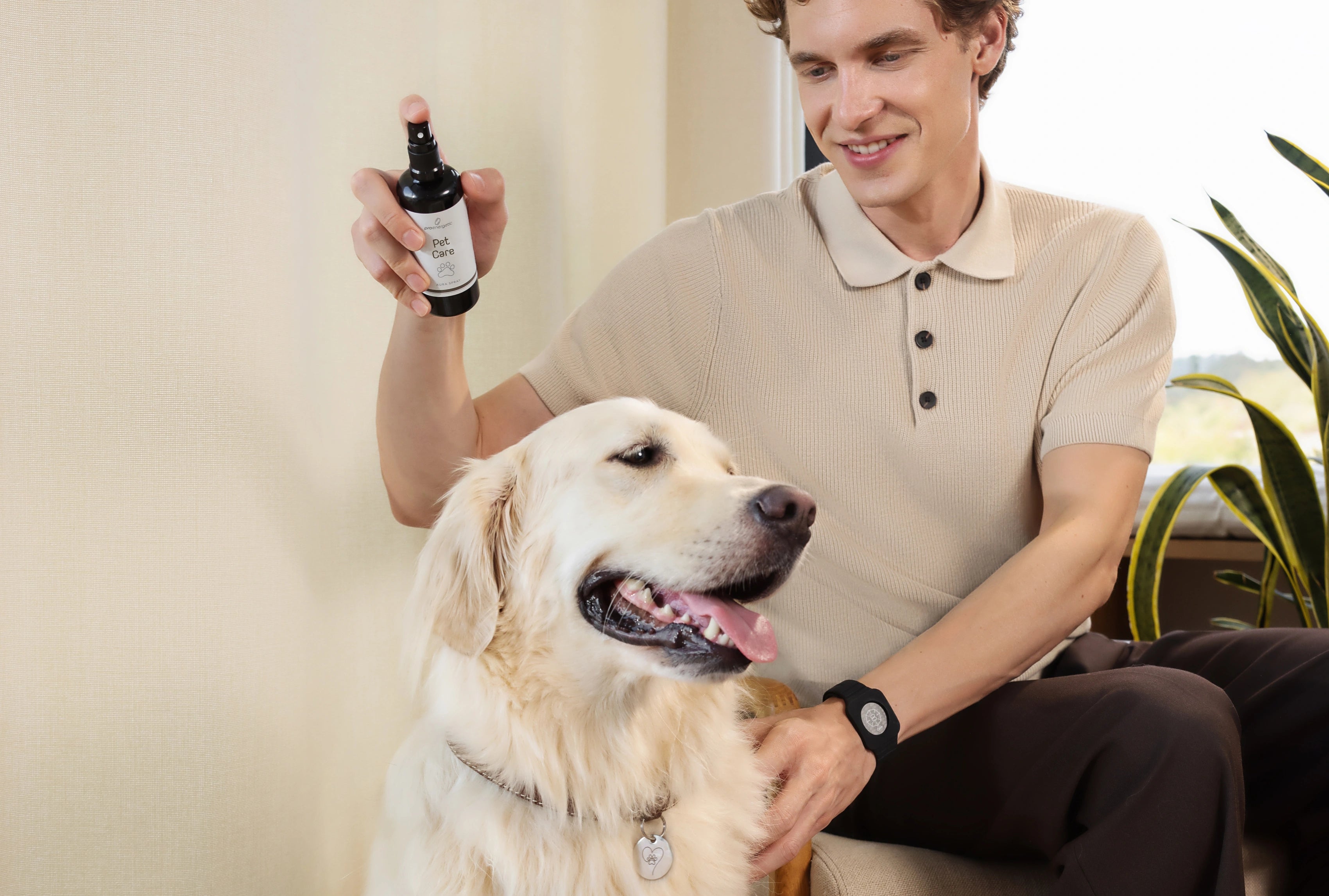 Junger Mann sprüht „Pet Care“ Aura Spray von proenergetic auf einen entspannten Golden Retriever. Der Hund sitzt ruhig, hechelt zufrieden, während der Halter lächelt und den Hund sanft am Hals hält. Helle Wohnumgebung mit natürlichem Licht.